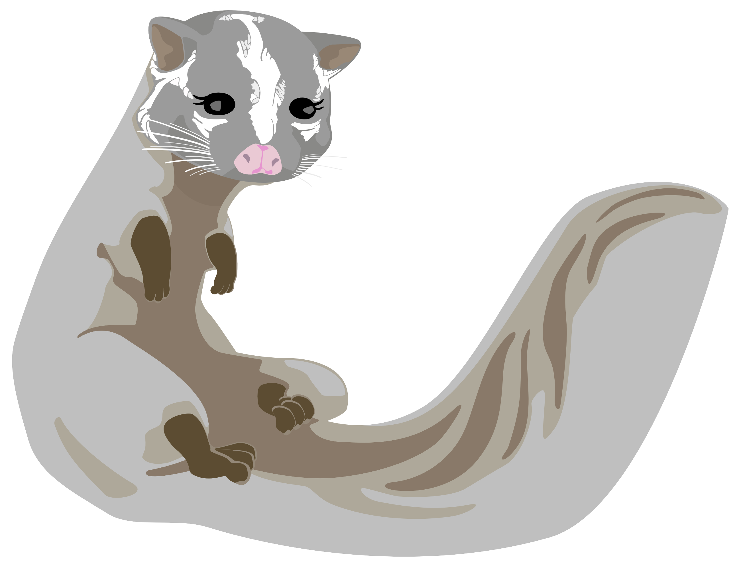 ハクビシン撃退!安心生活プロジェクト