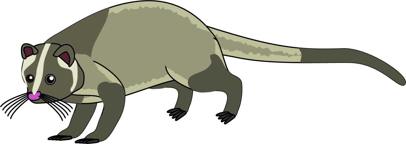 ハクビシン撃退!安心生活プロジェクト